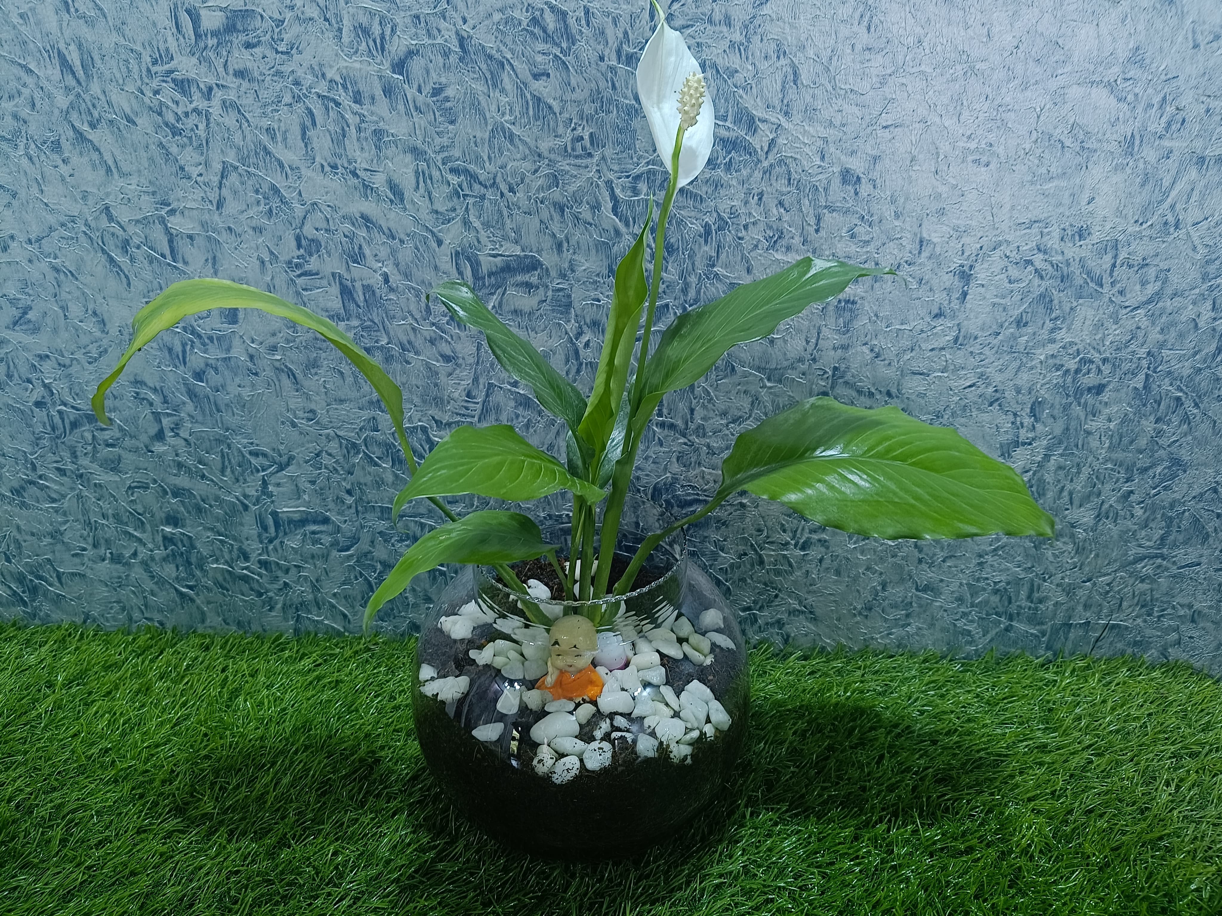 Ceramic Planter